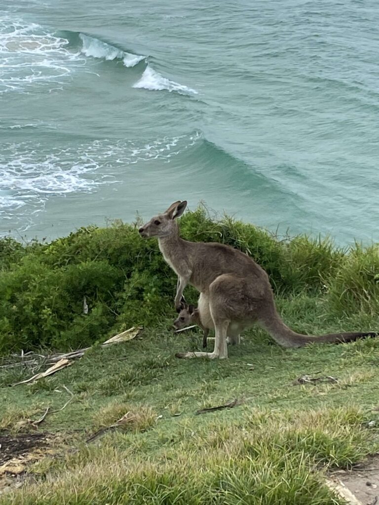 This image has an empty alt attribute; its file name is Image-36-1-768x1024.jpg